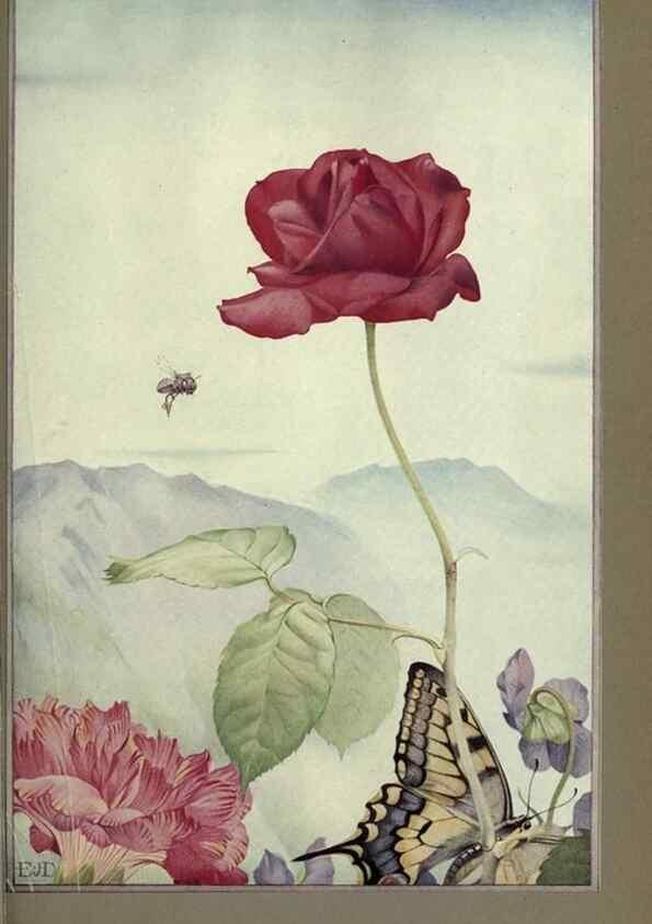 Reproducción/Reproduction 8190382207: News of spring and other nature studies.. New YorkDodd, Mead1917