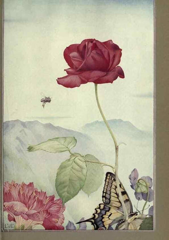 Reproducción/Reproduction 8190382207: News of spring and other nature studies.. New YorkDodd, Mead1917
