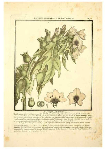 Reproducción/Reproduction 8190958976: Herbier de la France;. Paris,Chez l'auteur, Didot, Debure, Belin,1780-93.