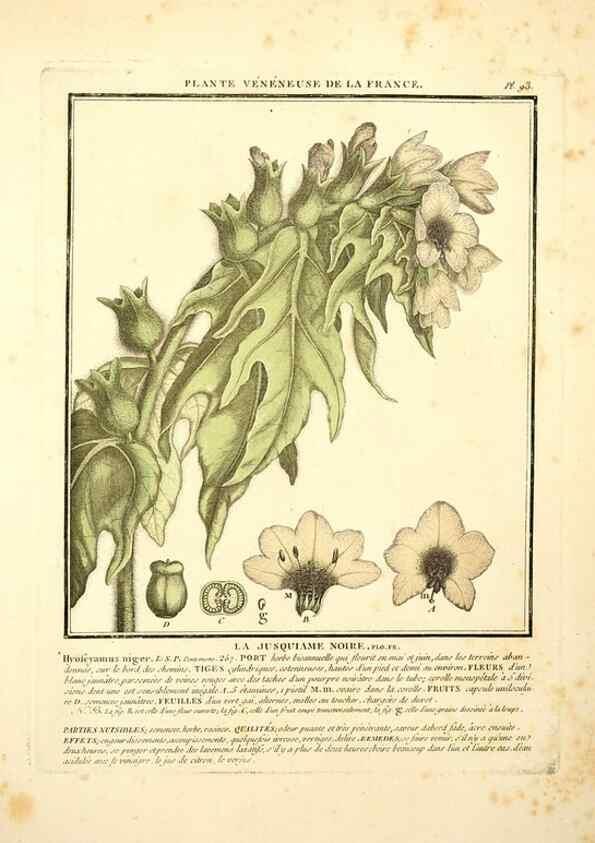 Reproducción/Reproduction 8190958976: Herbier de la France;. Paris,Chez l'auteur, Didot, Debure, Belin,1780-93.
