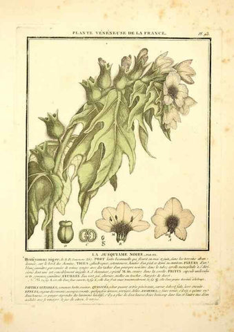 Reproducción/Reproduction 8190958976: Herbier de la France;. Paris,Chez l'auteur, Didot, Debure, Belin,1780-93.