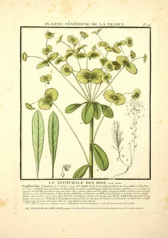 Reproducción/Reproduction 8190959880: Herbier de la France;. Paris,Chez l'auteur, Didot, Debure, Belin,1780-93.