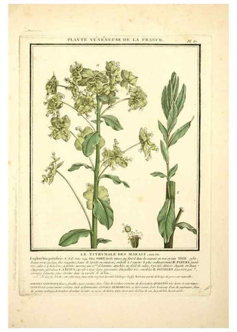 Reproducción/Reproduction 8189873549: Herbier de la France;. Paris,Chez l'auteur, Didot, Debure, Belin,1780-93.