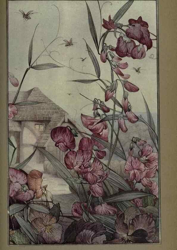 Reproducción/Reproduction 8190378829: News of spring and other nature studies.. New YorkDodd, Mead1917