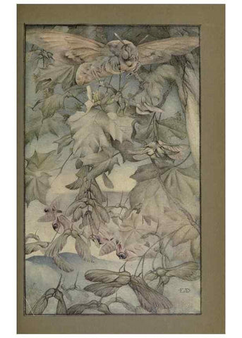 Reproducción/Reproduction 8191462648: News of spring and other nature studies.. New YorkDodd, Mead1917