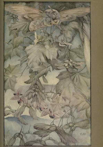 Reproducción/Reproduction 8191462648: News of spring and other nature studies.. New YorkDodd, Mead1917