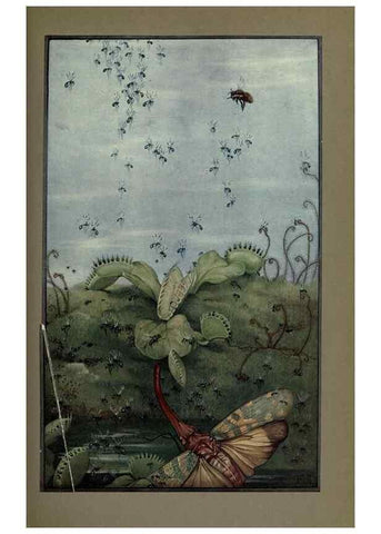 Reproducción/Reproduction 8190380011: News of spring and other nature studies.. New YorkDodd, Mead1917