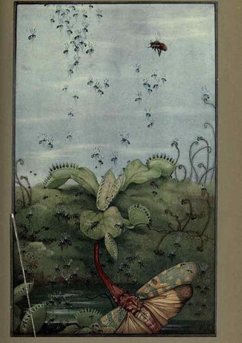 Reproducción/Reproduction 8190380011: News of spring and other nature studies.. New YorkDodd, Mead1917
