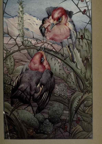 Reproducción/Reproduction 8191463654: News of spring and other nature studies.. New YorkDodd, Mead1917