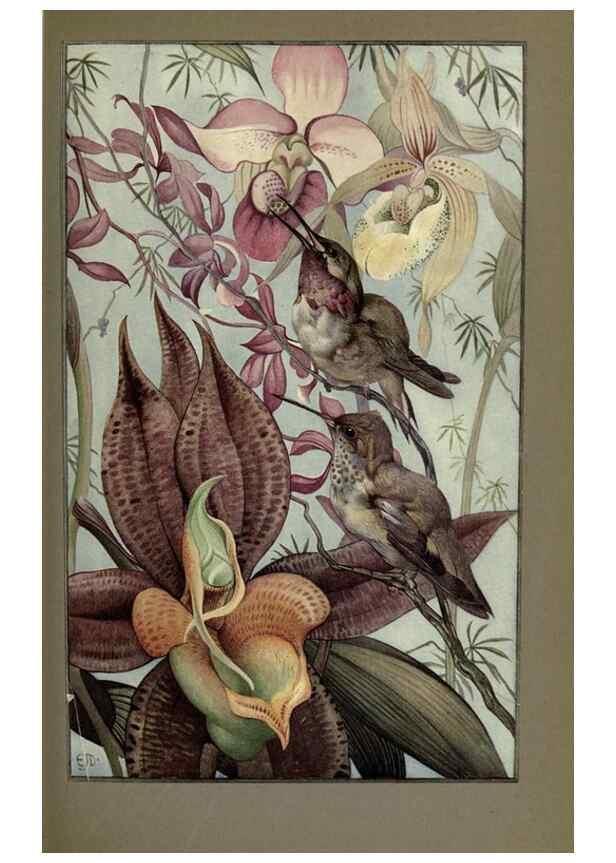 Reproducción/Reproduction 8190381359: News of spring and other nature studies.. New YorkDodd, Mead1917