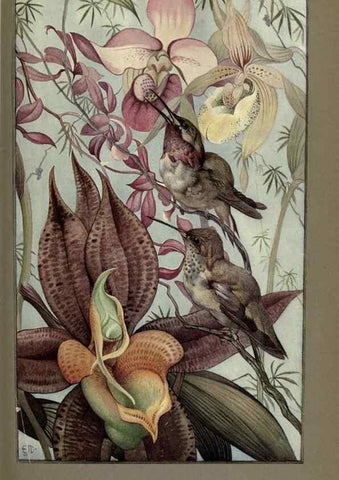 Reproducción/Reproduction 8190381359: News of spring and other nature studies.. New YorkDodd, Mead1917