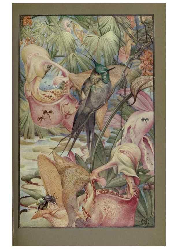Reproducción/Reproduction 8191464974: News of spring and other nature studies.. New YorkDodd, Mead1917