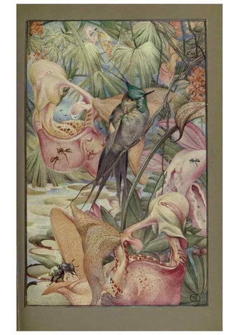 Reproducción/Reproduction 8191464974: News of spring and other nature studies.. New YorkDodd, Mead1917