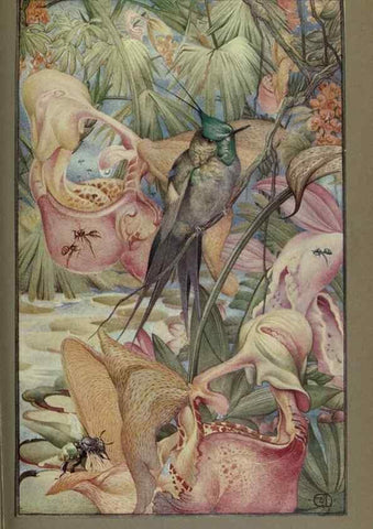 Reproducción/Reproduction 8191464974: News of spring and other nature studies.. New YorkDodd, Mead1917