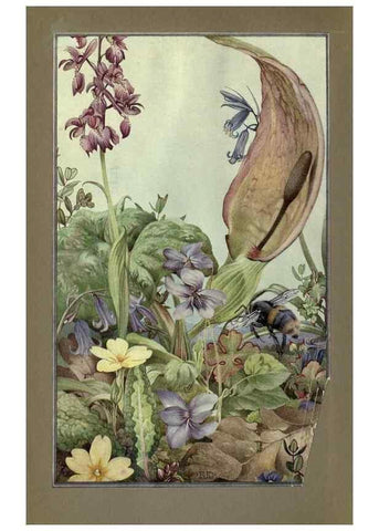 Reproducción/Reproduction 8190378143: News of spring and other nature studies.. New YorkDodd, Mead1917