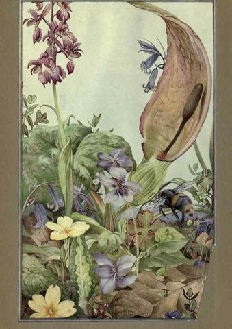 Reproducción/Reproduction 8190378143: News of spring and other nature studies.. New YorkDodd, Mead1917
