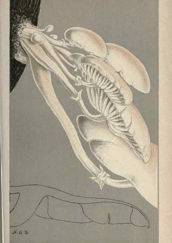Reproducción/Reproduction 8163883293: Illustrations of British Fungi (Hymenomycetes), to serve as an atlas to the ""Handbook of British Fungi"".. LondonWilliams and Norgate1881-91