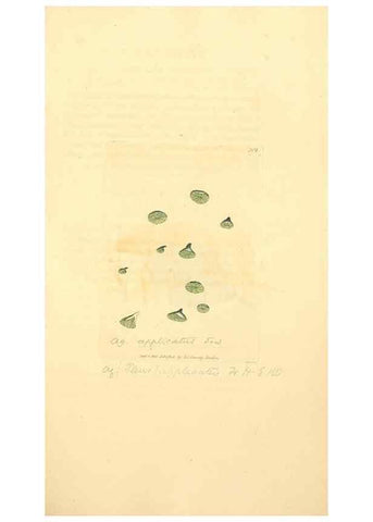 Reproducción/Reproduction 8230544464: Coloured figures of English fungi or mushrooms.. London,Printed by J. Davis,1797-[1809]