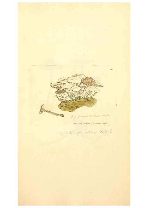 Reproducción/Reproduction 8230566692: Coloured figures of English fungi or mushrooms.. London,Printed by J. Davis,1797-[1809]