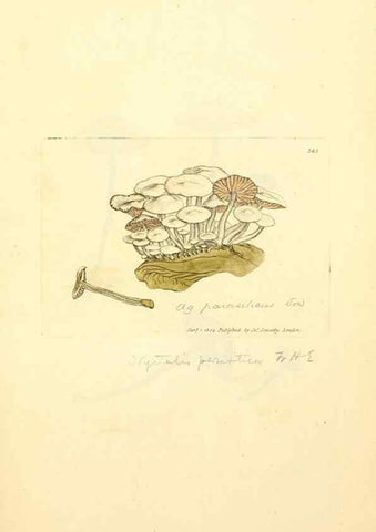 Reproducción/Reproduction 8230566692: Coloured figures of English fungi or mushrooms.. London,Printed by J. Davis,1797-[1809]