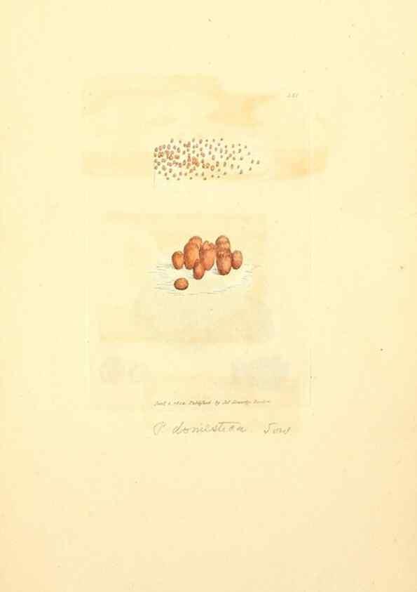 Reproducción/Reproduction 8230570420: Coloured figures of English fungi or mushrooms.. London,Printed by J. Davis,1797-[1809]