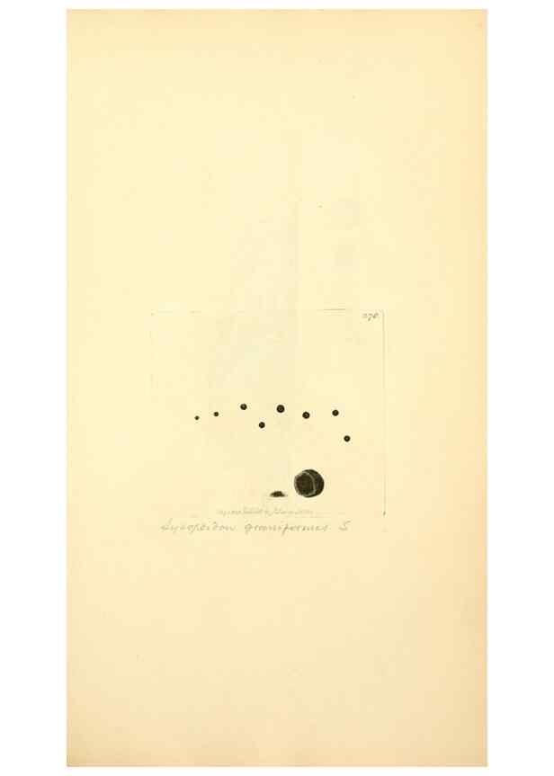 Reproducción/Reproduction 8230527232: Coloured figures of English fungi or mushrooms.. London,Printed by J. Davis,1797-[1809]