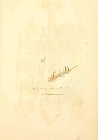 Reproducción/Reproduction 8230590488: Coloured figures of English fungi or mushrooms.. London,Printed by J. Davis,1797-[1809]