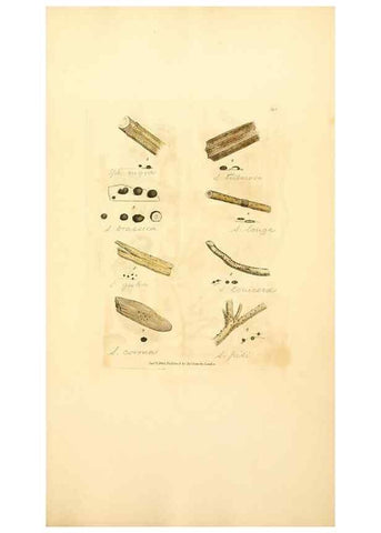 Reproducción/Reproduction 8230591386: Coloured figures of English fungi or mushrooms.. London,Printed by J. Davis,1797-[1809]