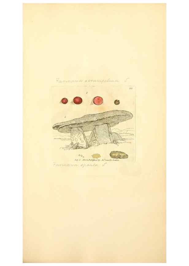 Reproducción/Reproduction 8229520419: Coloured figures of English fungi or mushrooms.. London,Printed by J. Davis,1797-[1809]