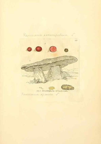 Reproducción/Reproduction 8229520419: Coloured figures of English fungi or mushrooms.. London,Printed by J. Davis,1797-[1809]