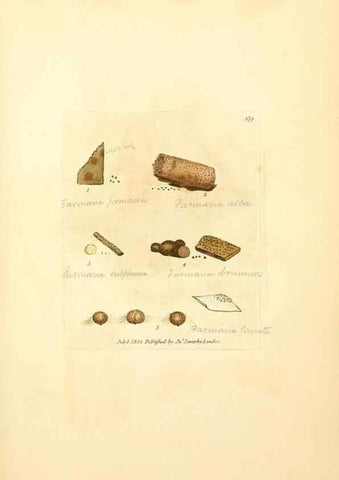Reproducción/Reproduction 8229519843: Coloured figures of English fungi or mushrooms.. London,Printed by J. Davis,1797-[1809]