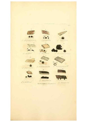 Reproducción/Reproduction 8229516407: Coloured figures of English fungi or mushrooms.. London,Printed by J. Davis,1797-[1809]