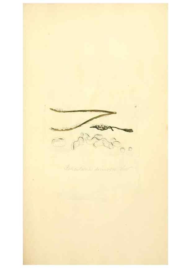 Reproducción/Reproduction 8230397096: Coloured figures of English fungi or mushrooms.. London,Printed by J. Davis,1797-[1809]