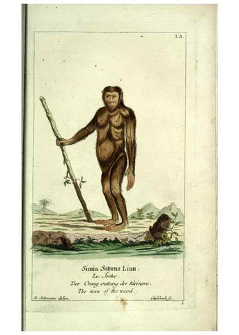 Reproducción/Reproduction 7999608291: Gemeinnüzzige Naturgeschichte des Thierreichs :. Berlin ;bei Gottlieb August Lange,1780-1789.