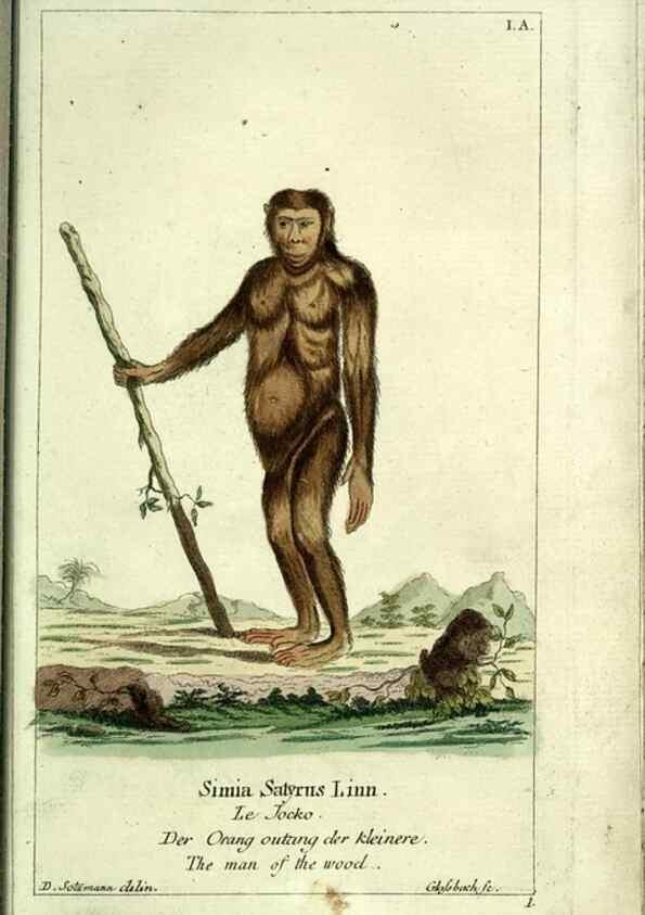 Reproducción/Reproduction 7999608291: Gemeinnüzzige Naturgeschichte des Thierreichs :. Berlin ;bei Gottlieb August Lange,1780-1789.