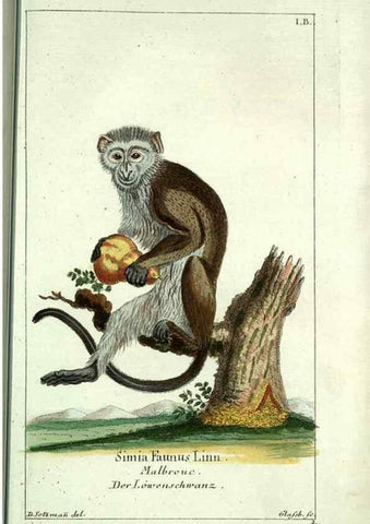 Reproducción/Reproduction 7999612328: Gemeinnüzzige Naturgeschichte des Thierreichs :. Berlin ;bei Gottlieb August Lange,1780-1789.