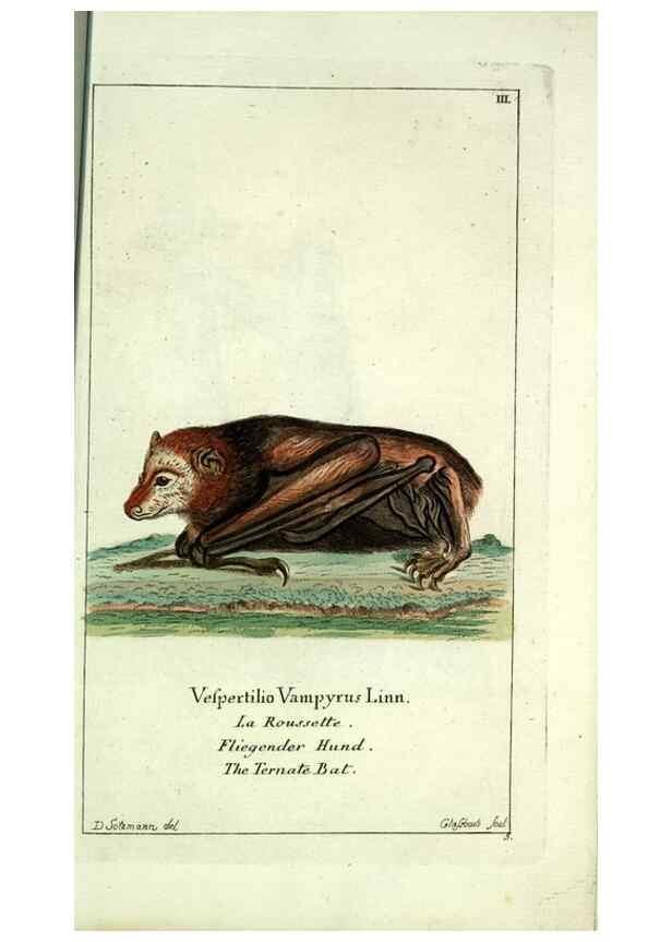 Reproducción/Reproduction 7999610201: Gemeinnüzzige Naturgeschichte des Thierreichs :. Berlin ;bei Gottlieb August Lange,1780-1789.