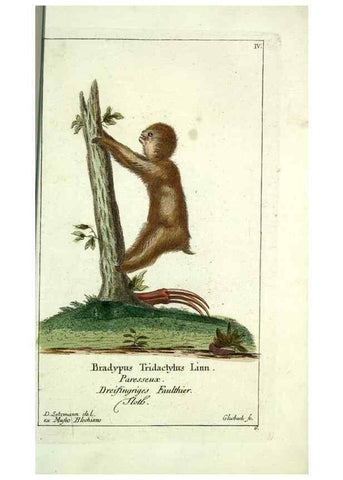 Reproducción/Reproduction 7999614268: Gemeinnüzzige Naturgeschichte des Thierreichs :. Berlin ;bei Gottlieb August Lange,1780-1789.