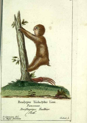 Reproducción/Reproduction 7999614268: Gemeinnüzzige Naturgeschichte des Thierreichs :. Berlin ;bei Gottlieb August Lange,1780-1789.