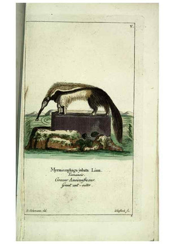 Reproducción/Reproduction 7999611303: Gemeinnüzzige Naturgeschichte des Thierreichs :. Berlin ;bei Gottlieb August Lange,1780-1789.