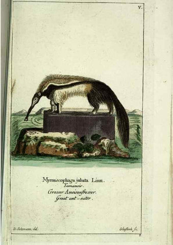 Reproducción/Reproduction 7999611303: Gemeinnüzzige Naturgeschichte des Thierreichs :. Berlin ;bei Gottlieb August Lange,1780-1789.