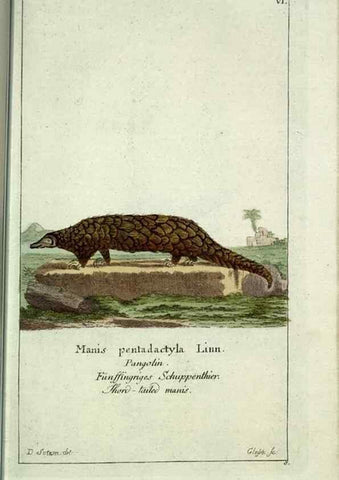Reproducción/Reproduction 7999615430: Gemeinnüzzige Naturgeschichte des Thierreichs :. Berlin ;bei Gottlieb August Lange,1780-1789.