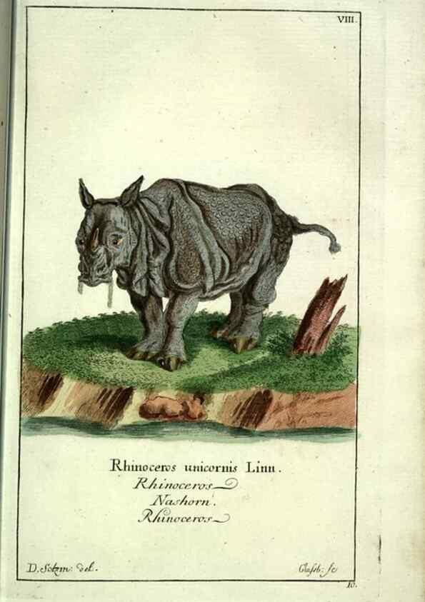 Reproducción/Reproduction 7999612861: Gemeinnüzzige Naturgeschichte des Thierreichs :. Berlin ;bei Gottlieb August Lange,1780-1789.