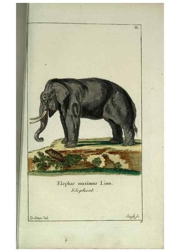 Reproducción/Reproduction 7999616968: Gemeinnüzzige Naturgeschichte des Thierreichs :. Berlin ;bei Gottlieb August Lange,1780-1789.