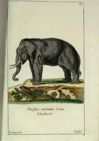 Reproducción/Reproduction 7999616968: Gemeinnüzzige Naturgeschichte des Thierreichs :. Berlin ;bei Gottlieb August Lange,1780-1789.