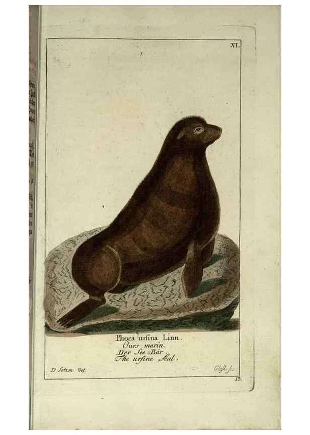 Reproducción/Reproduction 7999614287: Gemeinnüzzige Naturgeschichte des Thierreichs :. Berlin ;bei Gottlieb August Lange,1780-1789.