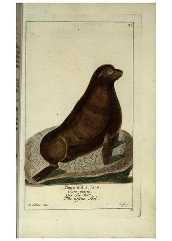 Reproducción/Reproduction 7999614287: Gemeinnüzzige Naturgeschichte des Thierreichs :. Berlin ;bei Gottlieb August Lange,1780-1789.