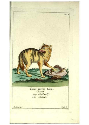 Reproducción/Reproduction 7999614709: Gemeinnüzzige Naturgeschichte des Thierreichs :. Berlin ;bei Gottlieb August Lange,1780-1789.