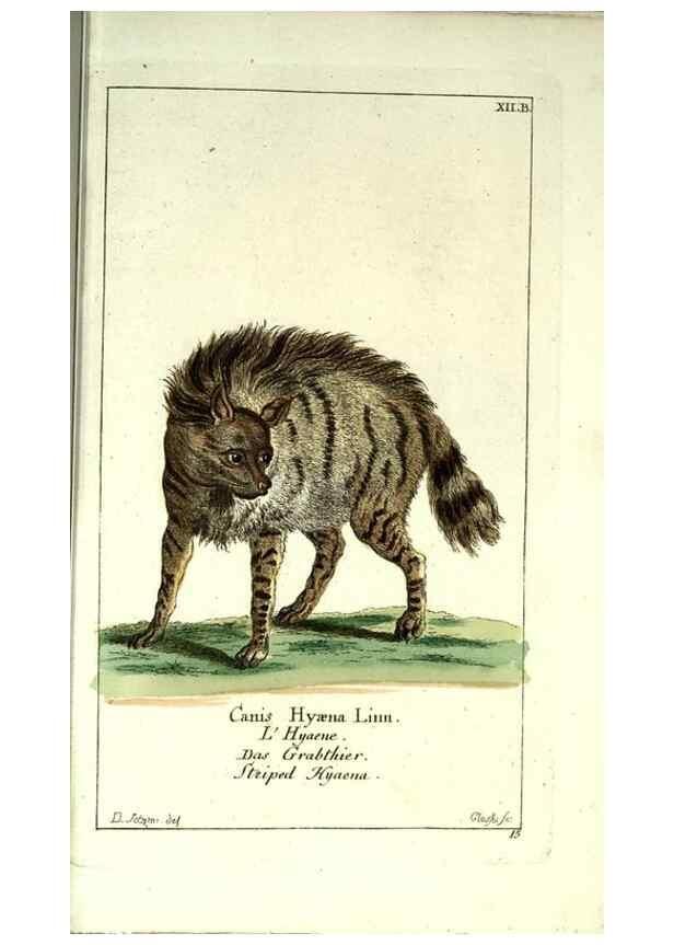 Reproducción/Reproduction 7999615111: Gemeinnüzzige Naturgeschichte des Thierreichs :. Berlin ;bei Gottlieb August Lange,1780-1789.