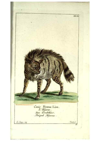 Reproducción/Reproduction 7999615111: Gemeinnüzzige Naturgeschichte des Thierreichs :. Berlin ;bei Gottlieb August Lange,1780-1789.